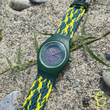 Skagen grenen samso solar green