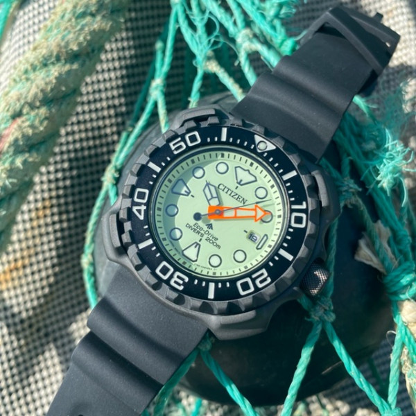 Citizen promaster full lume clearance
