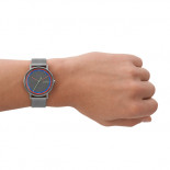 Skagen signatur gray