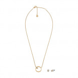 Skagen jewels kariana gift set gt