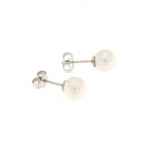 Genesia orecchini in oro bianco con perla 7- 7,5 mm