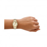 Skagen mellem lille gt