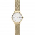 Skagen donna signatur slim gold