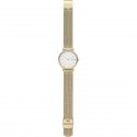 Skagen donna signatur slim gold