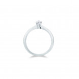 Visconti solitario sei punte