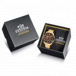 Festina croino bike gt brown