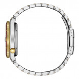 Citizen tsuyosa 2026 bic bordeaux