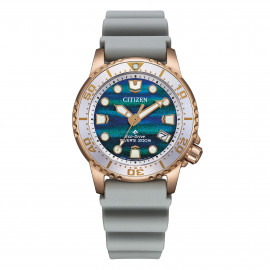 Citizen promaster lim. ed. structural dial