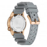 Citizen promaster lim. ed. structural dial