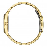 Vagary timeless 31 mm gt