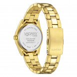 Vagary timeless 31 mm gt