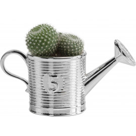 Argenesi vaso natura annaffiatoio 7cm