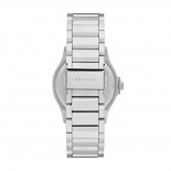 Skagen fisk steel