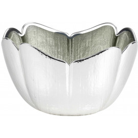 Argenesi coppa tulipano 18 cm verde salvia