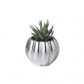 Argenesi vaso natura bugne 8 cm