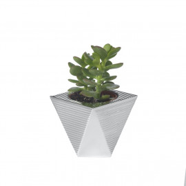 Argenesi vaso natura piramide 7 cm
