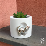 Argenesi vasetto gatto 8 cm bianco 