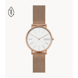 Skagen signature 38 mm rg mesh