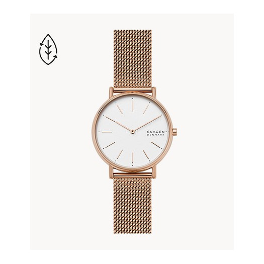 Skagen signature 38 mm rg mesh