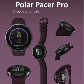 Polar pacer pro plum s-l