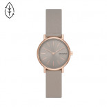 Skagen x